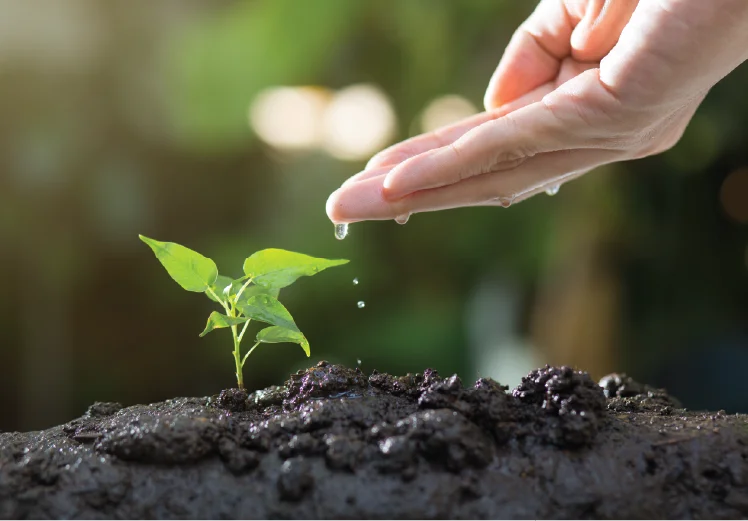 Corporate Social Responsibility
