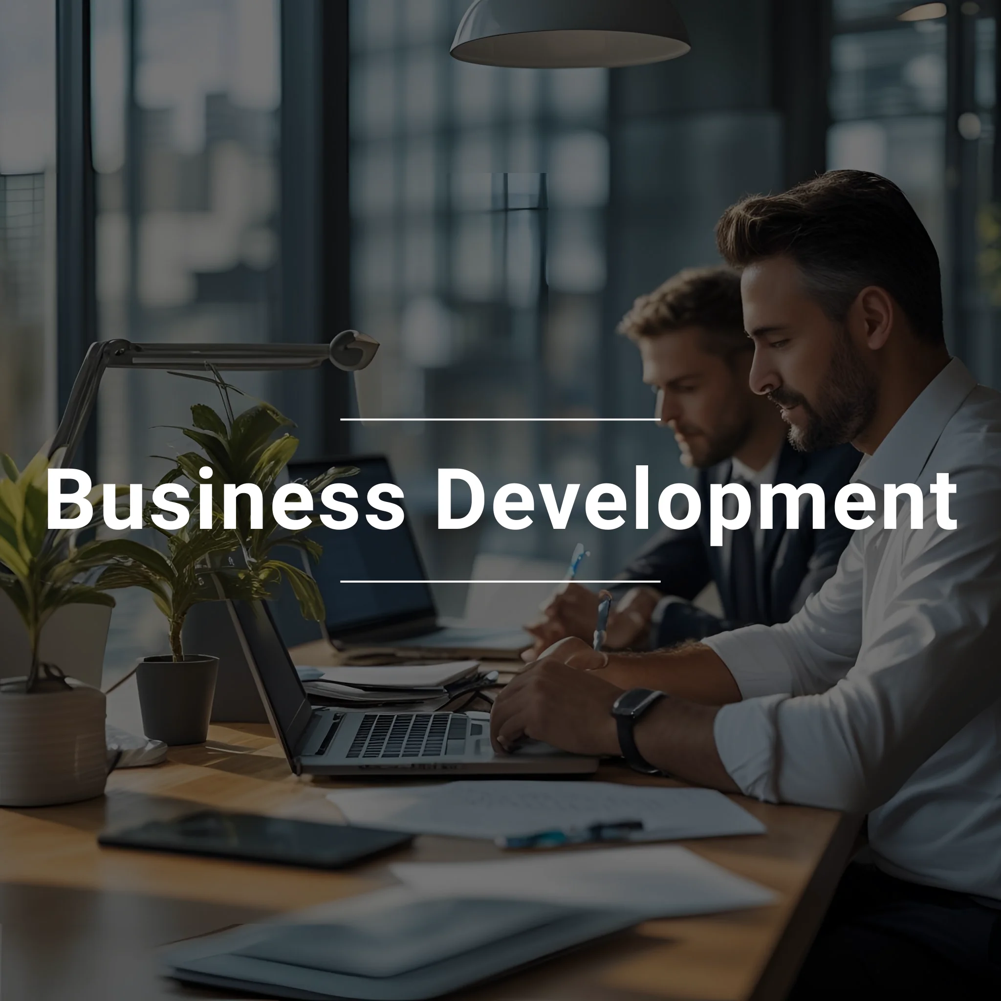 Business Development