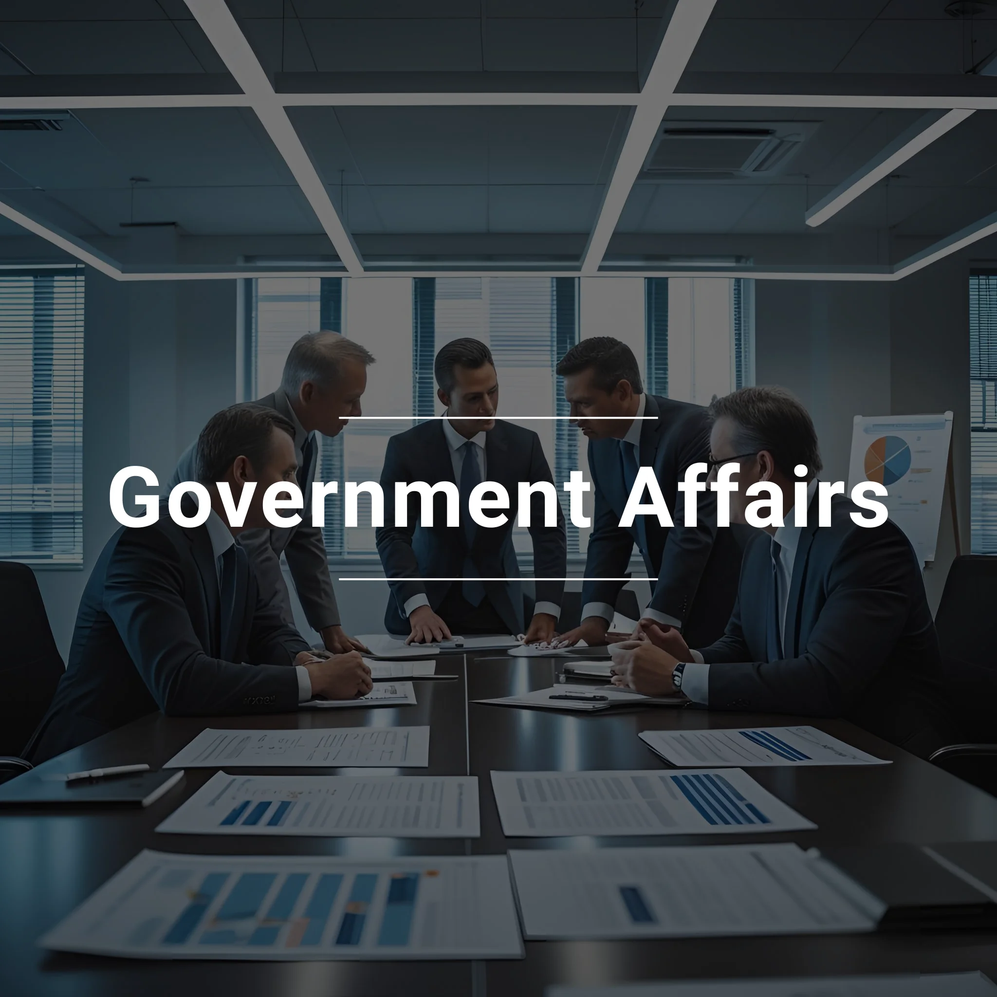 Government Affairs