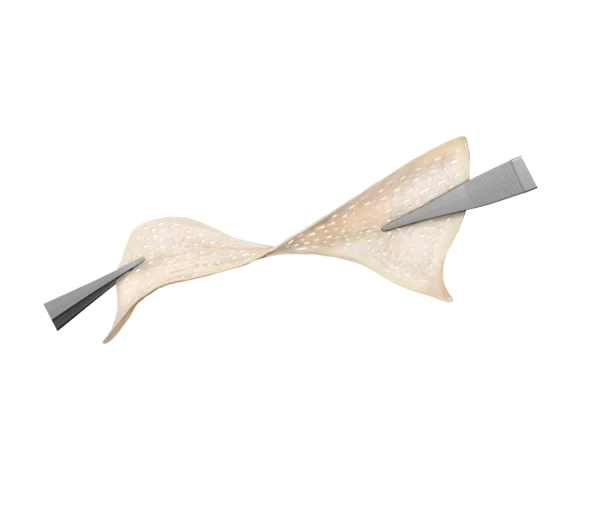 DermACELL AWM® - Image 2